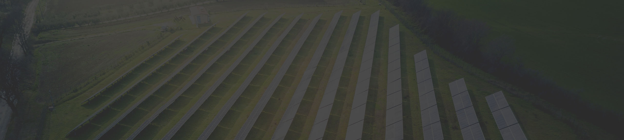 Ein großes, grünes Feld mit Reihen von silberfarbenen, rechteckigen Solarkollektoren