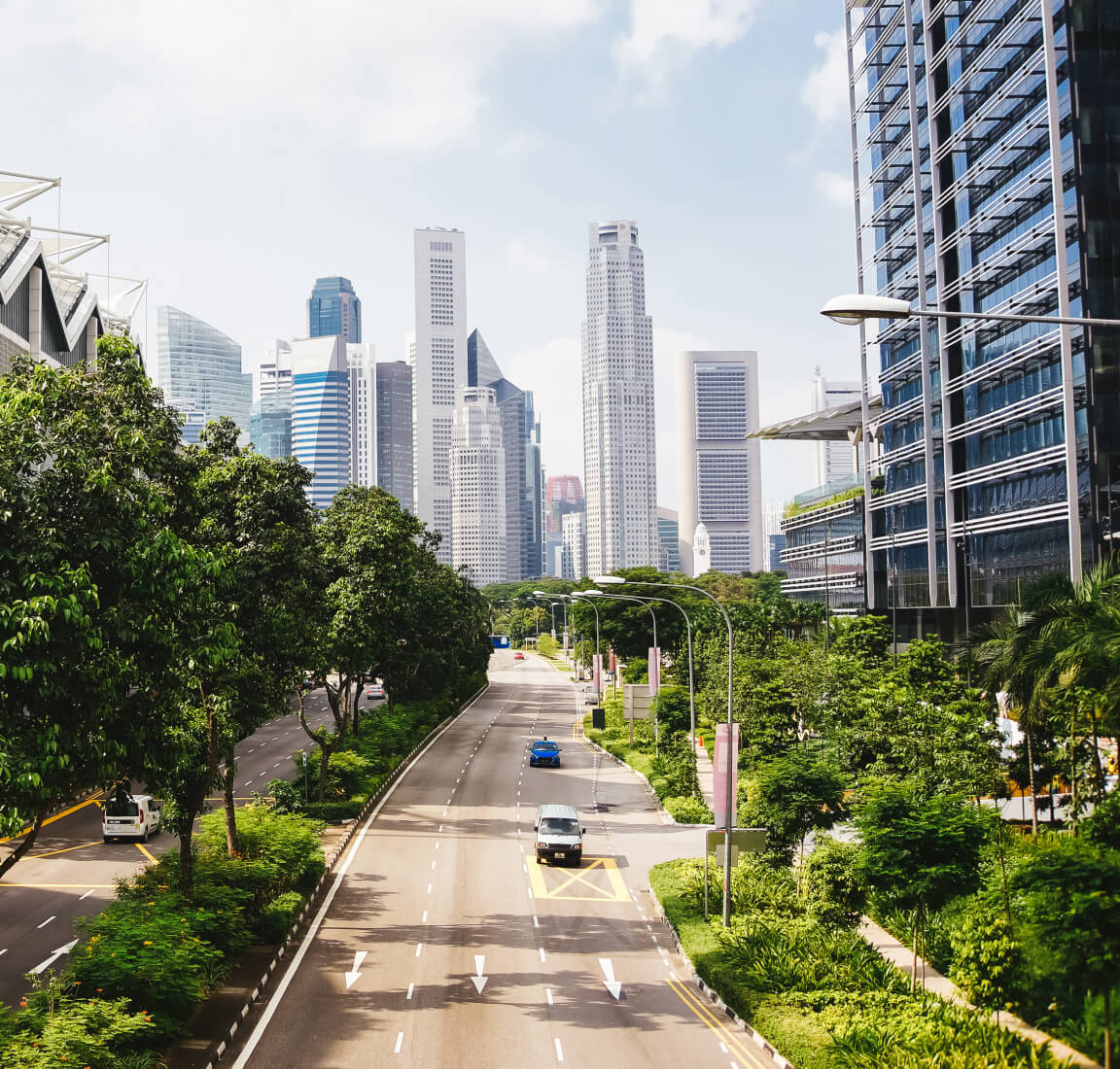 Urban highway with tree-filled median and skyscrapers in the distance